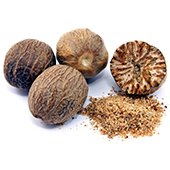 saw-palmetto
